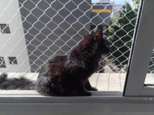 Redes Pro - Redes de Proteção Para Gatos