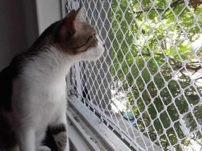 Instalação de Redes de Proteção - Redes Pro