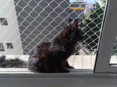 Redes Pro - Redes de Proteção Para Gatos
