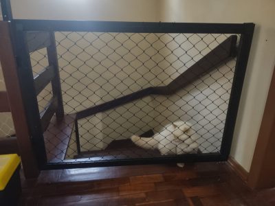 Redes de Proteção para Gatos